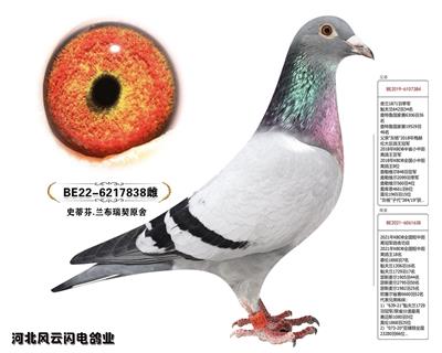 838
