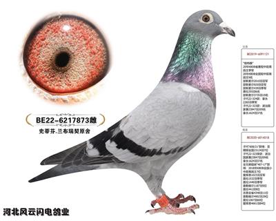 873