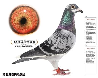 719