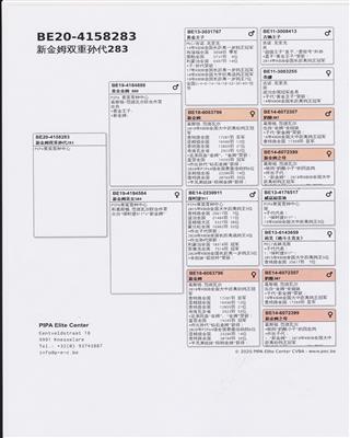 Ѫy(tng)