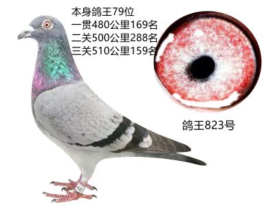 ָ823