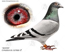 Ĕz