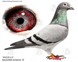 ĸؕ