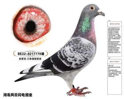 779