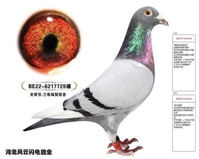 729