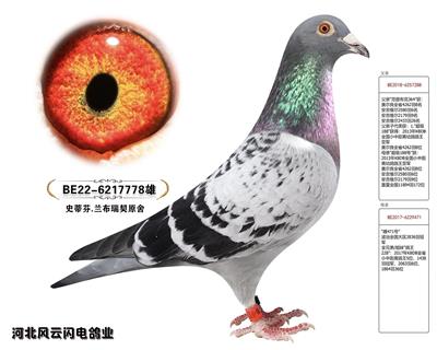 778
