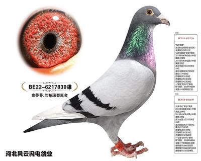 830