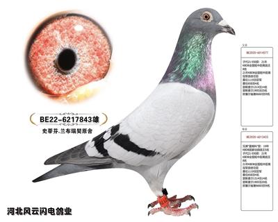 843