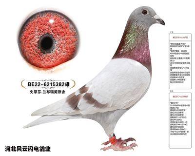 382