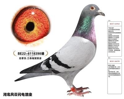 390