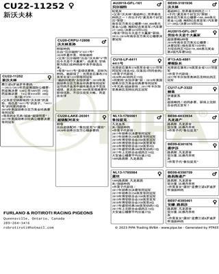Ѫy(tng)