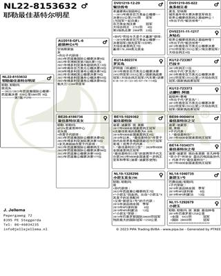 Ѫy(tng)