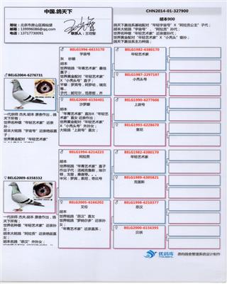 Ѫy(tng)