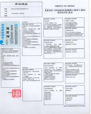 Ѫy(tng)