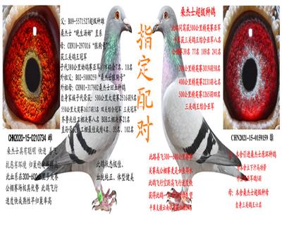 ɣʿ䌦