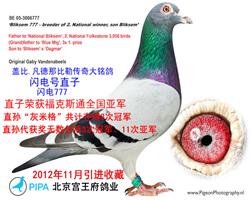 游
