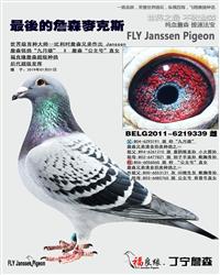 ղɭԭ���������˹