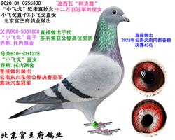 ĸH