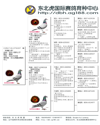 Ѫy(tng)