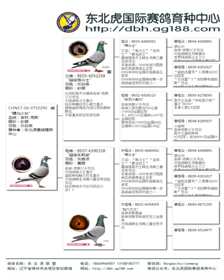 Ѫy(tng)