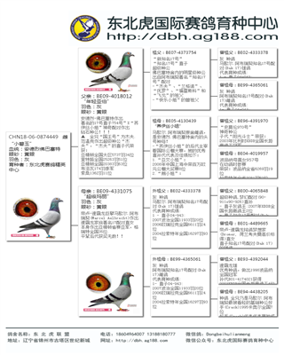 Ѫy(tng)