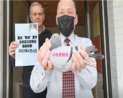 W느z