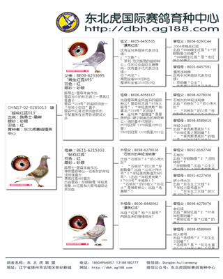 Ѫy(tng)(sh)