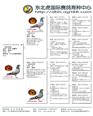 Ѫy(tng)