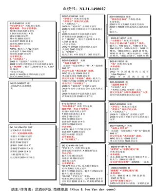 Ѫy(tng)