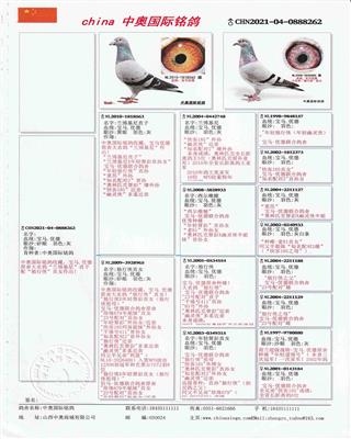 Ѫy(tng)