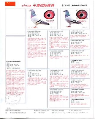 Ѫy(tng)