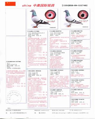 Ѫy(tng)