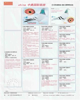Ѫy(tng)