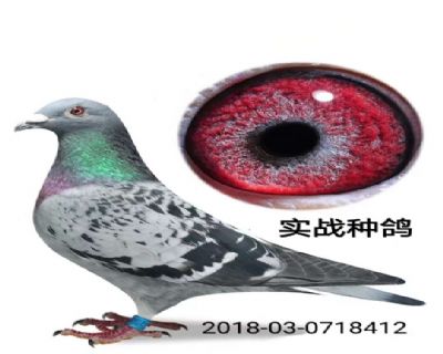û