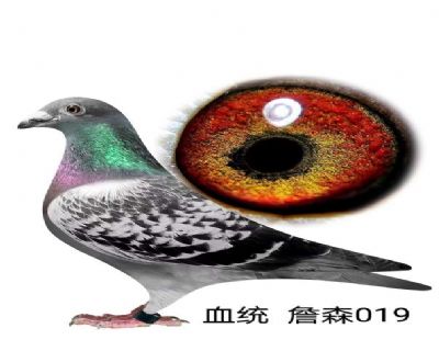 û