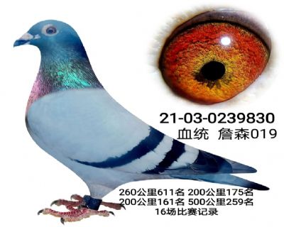 û