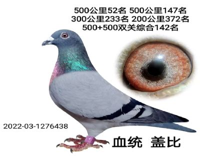 û