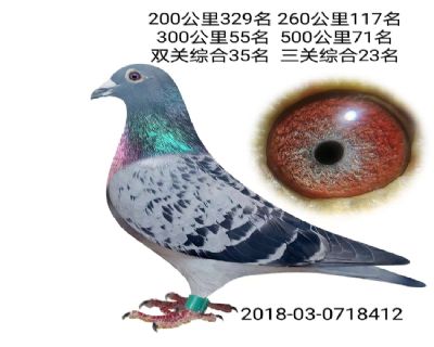 û