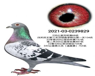 û