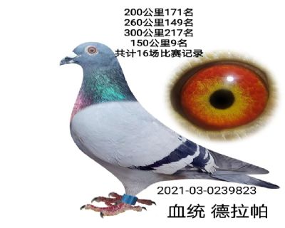 û