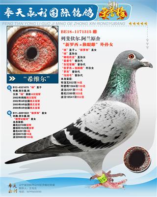 “希维尔”“杨”直子×“新罗西”直女