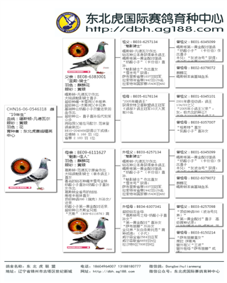 Ѫy(tng)