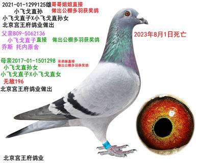 Ѫy(tng)