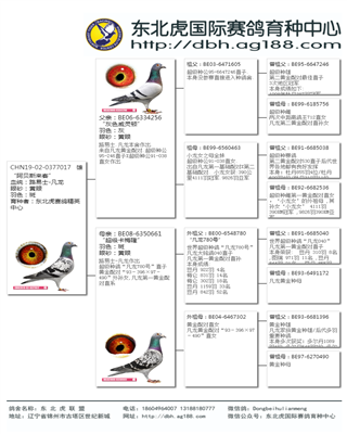 Ѫy(tng)
