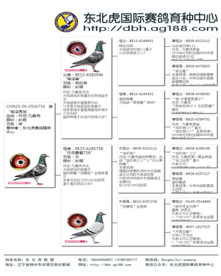 Ѫy(tng)(sh)