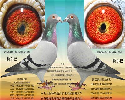 pʮһ1100Ԫһ