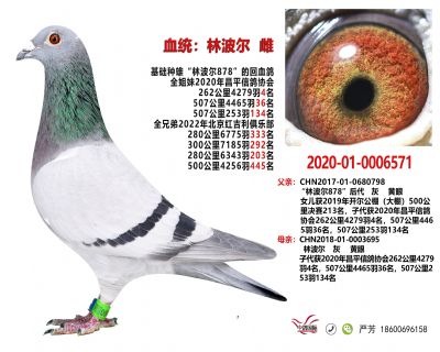 ֲ6571