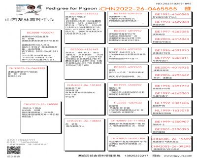 Ѫy(tng)