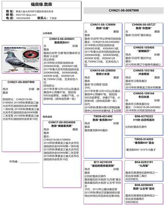 血統(tǒng)書