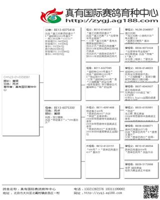 Ѫy(tng)